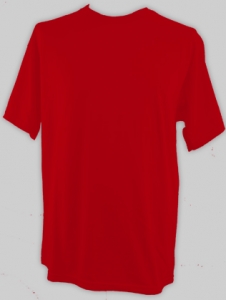 Herren T-Shirt - Froot of the Loom