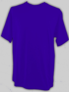 Herren T-Shirt - Froot of the Loom